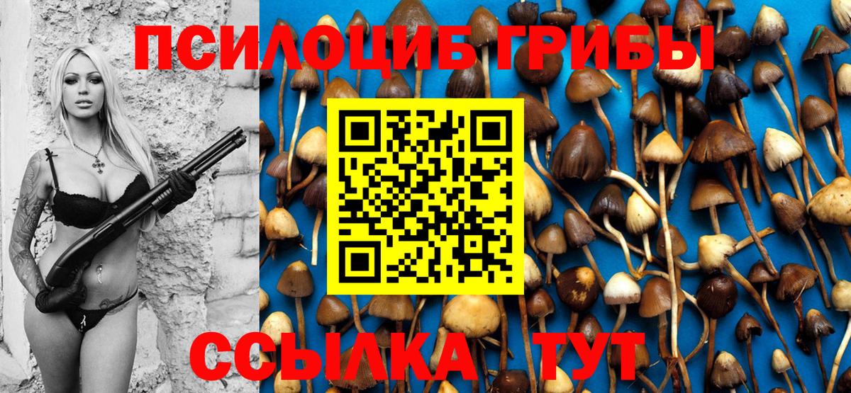 Галлюциногенные грибы ЛСД Ливны