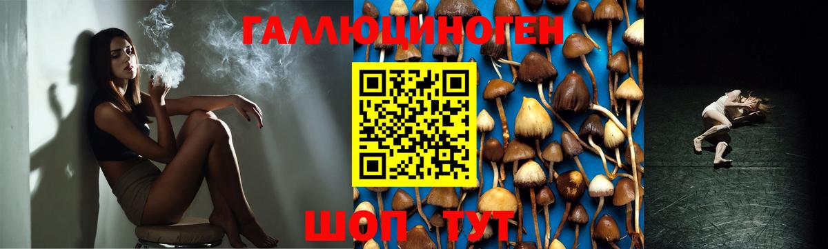 Ливны  Псилоцибиновые грибы Psilocybine cubensis  купить   Вход с VPN 